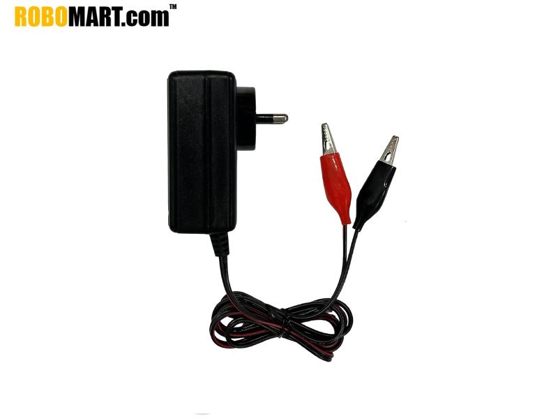 6V 1 Amp Charger for Lead Acid Battery